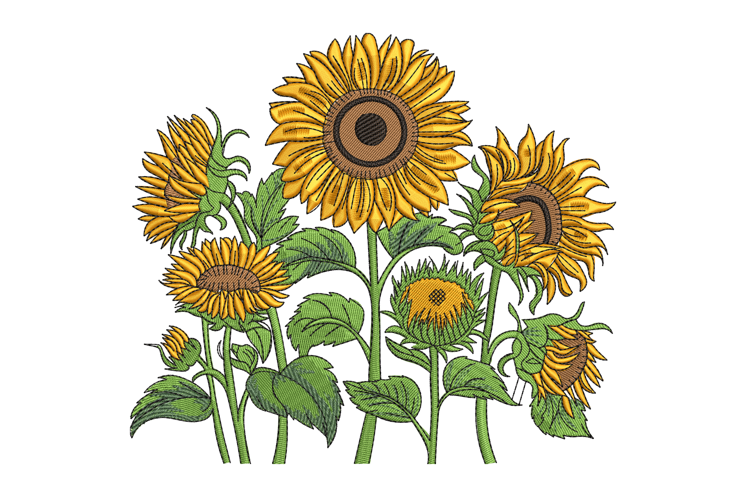 Beautiful Sunflowers