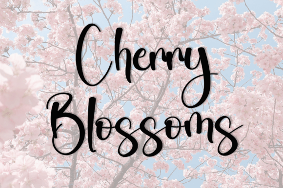 Blossom Font - Preview 2