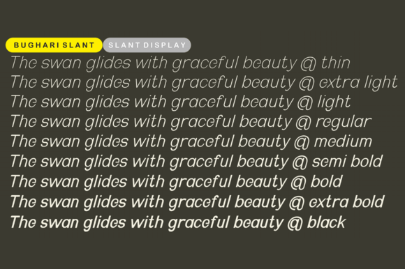 Bughari Font - Preview 2