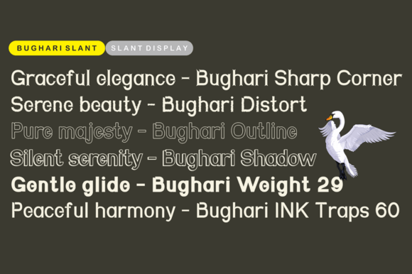 Bughari Font - Preview 3