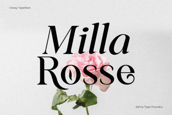 Classical Premiera Font - Preview 1