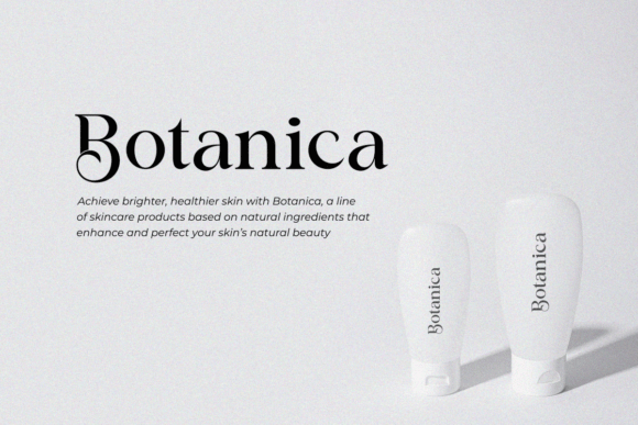 Classical Premiera Font - Preview 2
