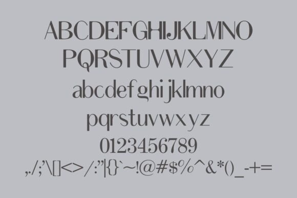 Delone Font - Preview 3