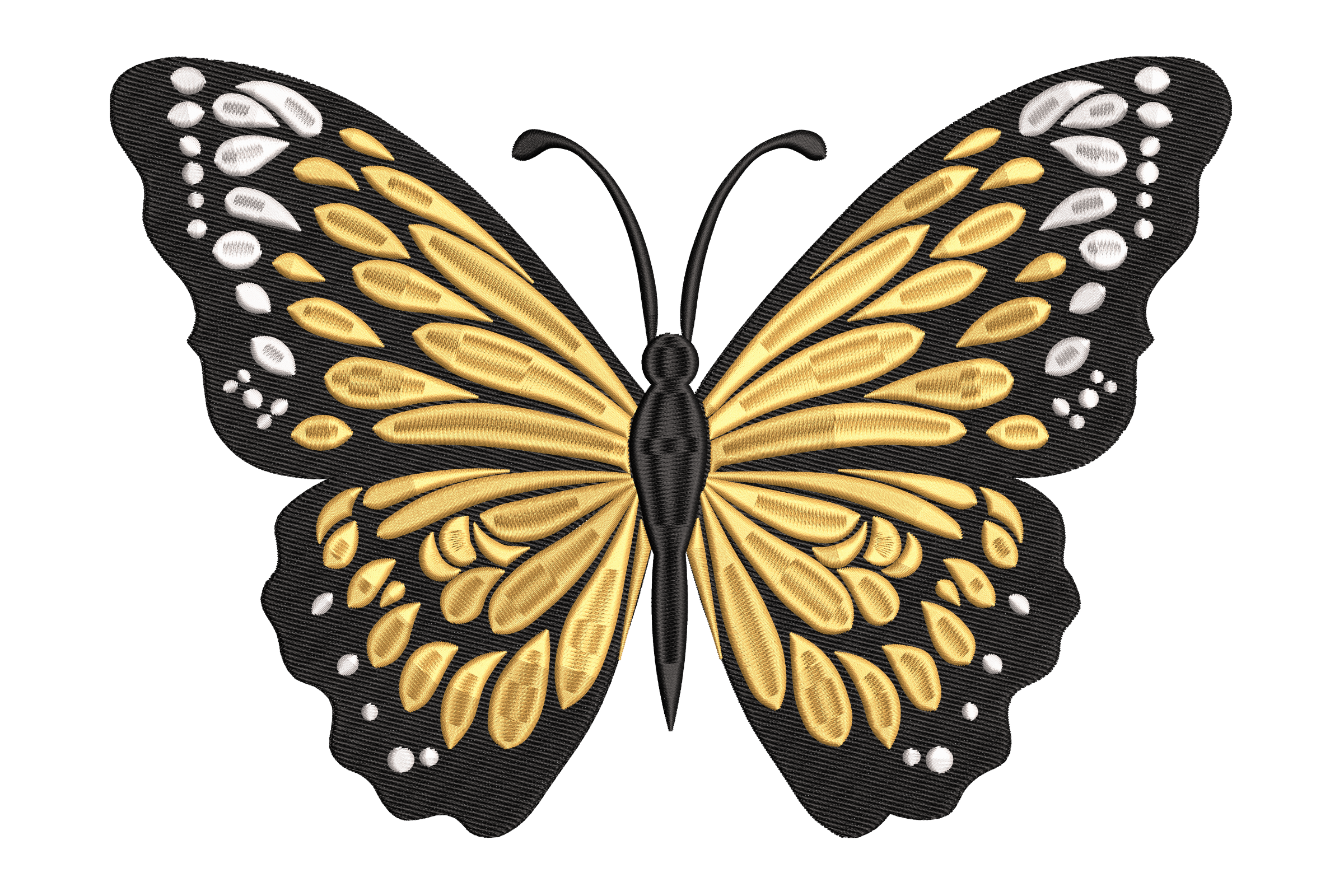 Elegant Monarch Butterfly