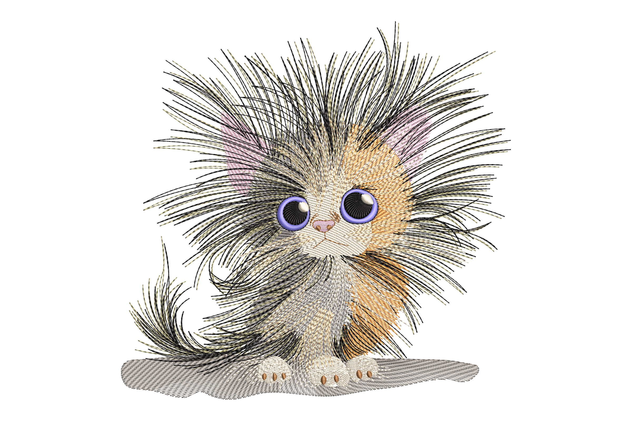 Fluffy Whiskers Kitten