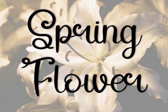 Lily of the Valley Font PNG with transparent background - Preview 2