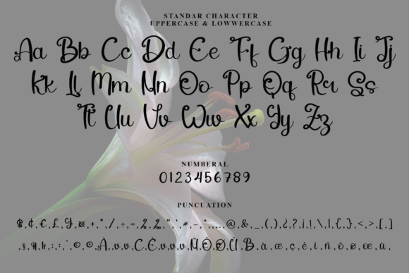Lily of the Valley Font PNG with transparent background - Preview 3