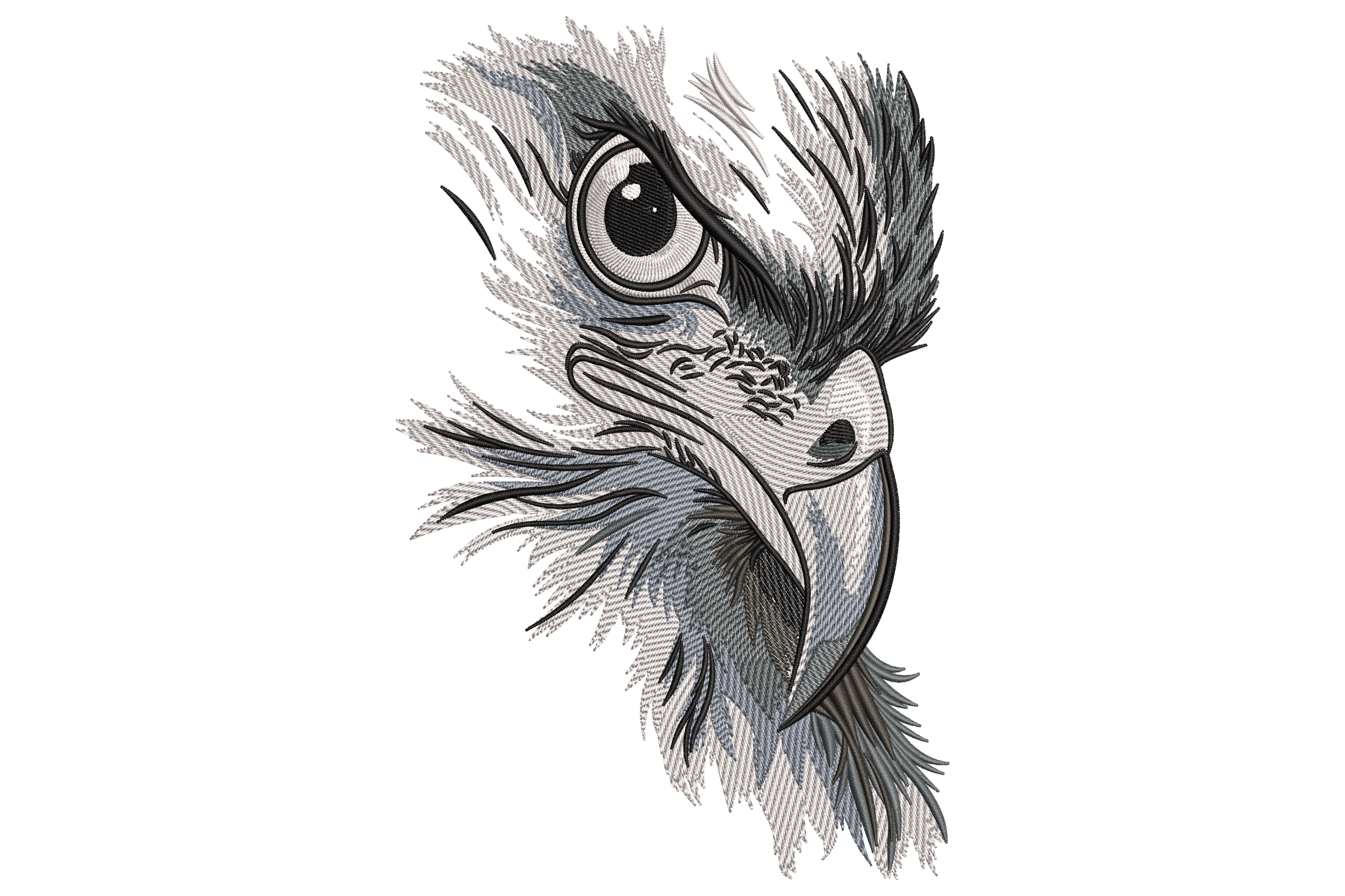 Majestic Eagle Head
