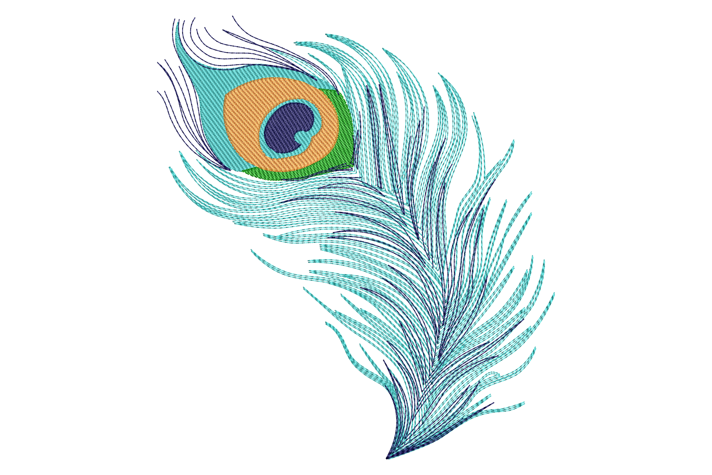 Peacock Feather