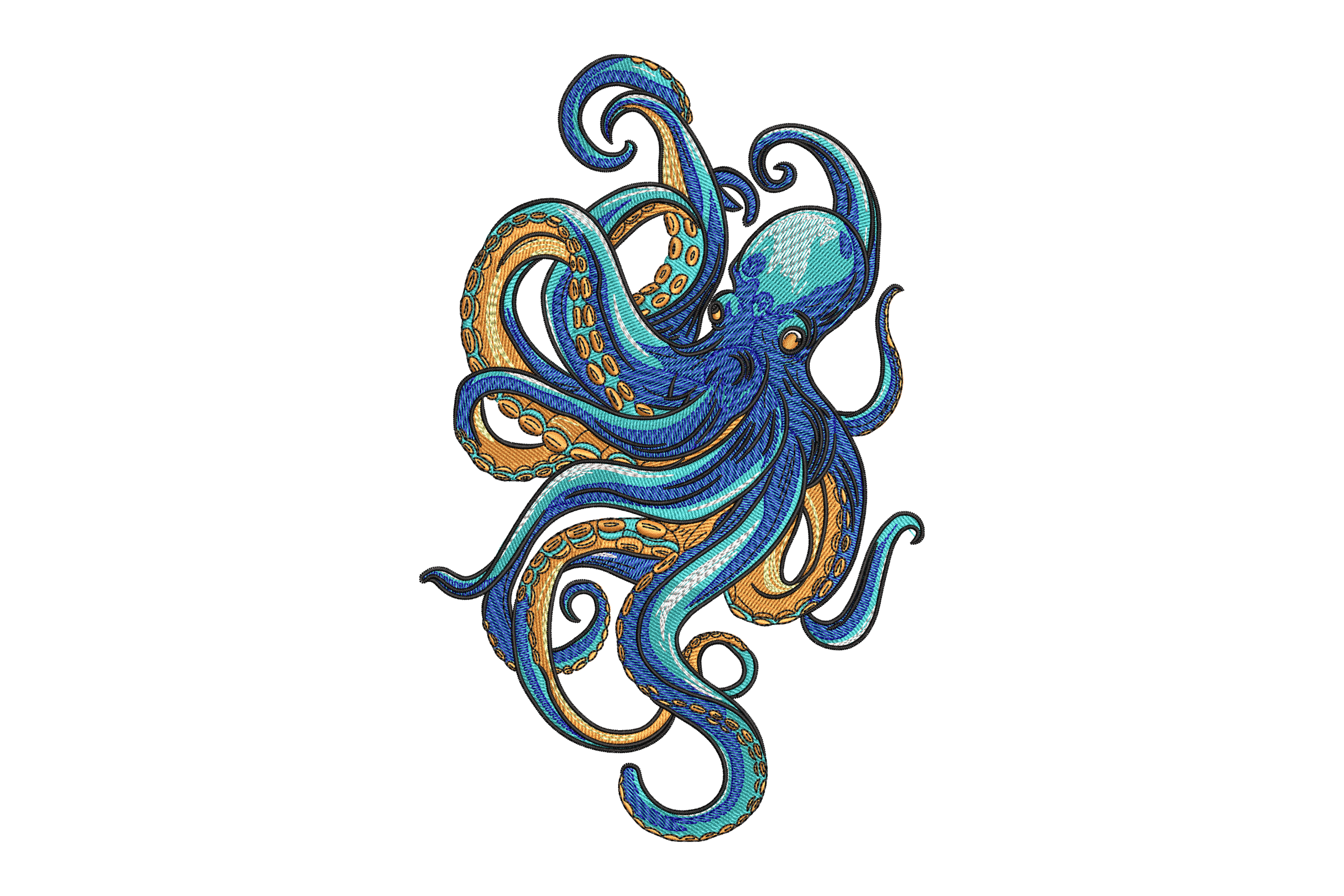 Stunning Octopus