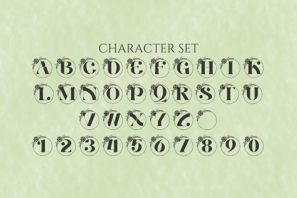 Alora Monogram Font - Preview 3