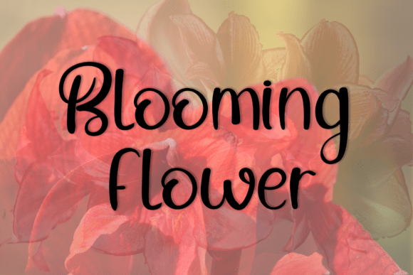 Amaryllis Font - Preview 2