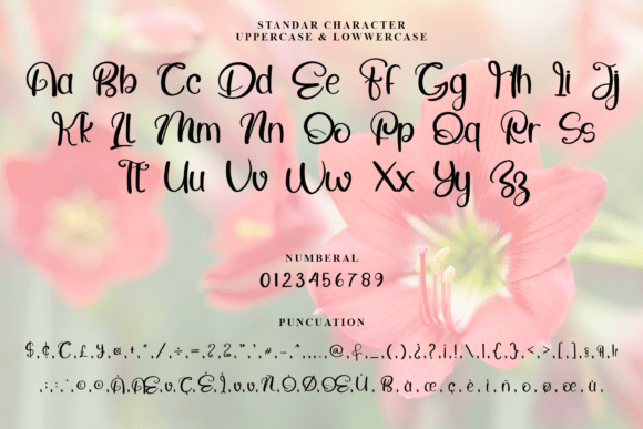 Amaryllis Font - Preview 3