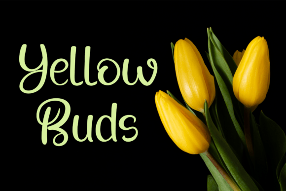 Amaryllis Font - Preview 6