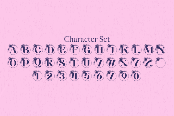 Aurora Bloom Monogram Font - Preview 3