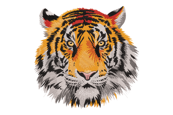 Bengal Tiger Face