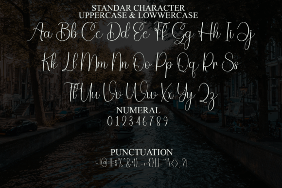 Calligraphy Font - Preview 4