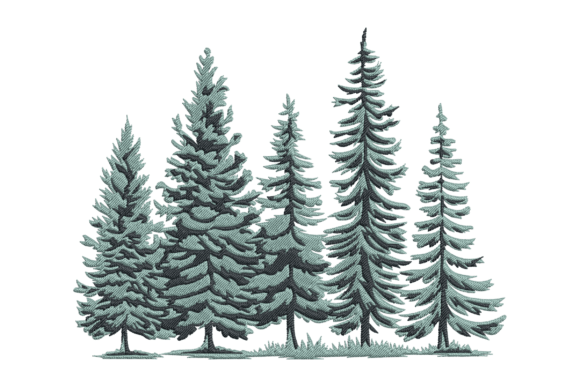 Sturdy Pine Trees
