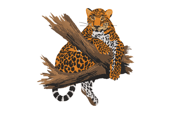 African Leopard