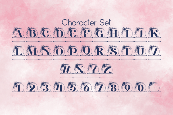 Aurora Bloom Line Monogram Font - Preview 3
