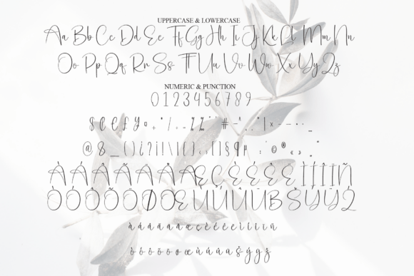 Delight Simple Font - Preview 6