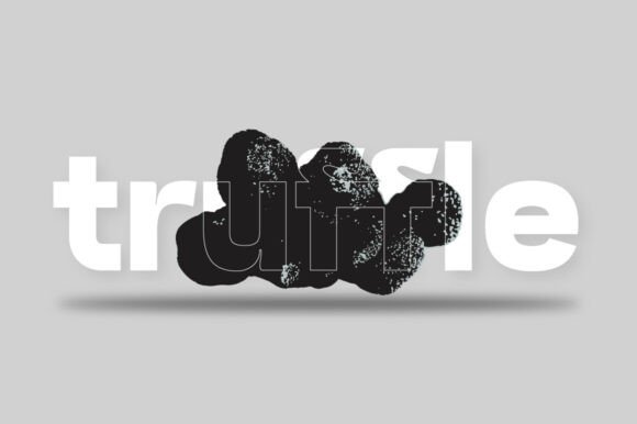 Mafle Type Grotesque Font PNG with transparent background - Preview 3