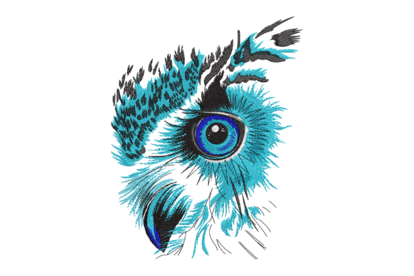 Owl Eye