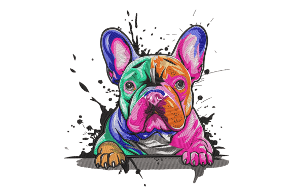 Colorful French Bulldog
