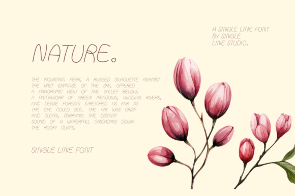 Falsify Font - Preview 2