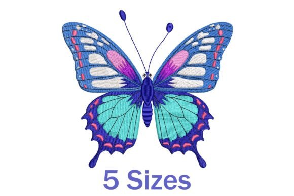 Colorful Butterfly