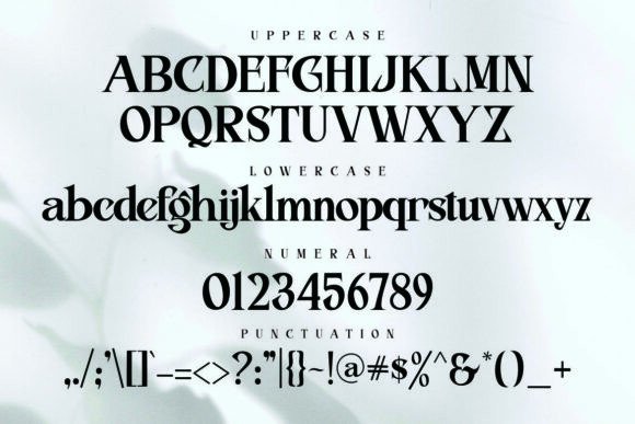 Fitasha Font - Preview 1