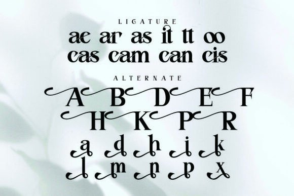 Fitasha Font - Preview 2