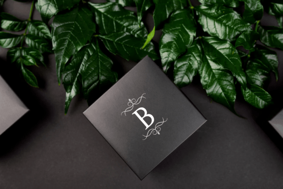 Royal Monogram Font PNG with transparent background - Preview 3