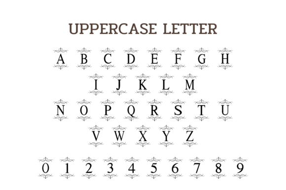 Royal Monogram Font PNG with transparent background - Preview 4
