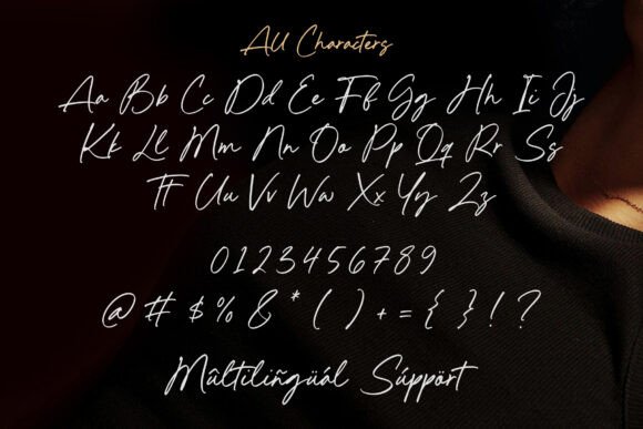 Armani Herlinda Font - Preview 5