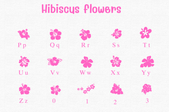 Hibiscus Flowers Font - Preview 2