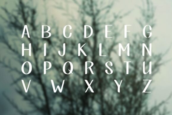 Shington Font PNG with transparent background - Preview 1