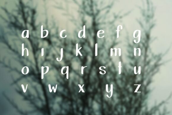 Shington Font PNG with transparent background - Preview 2
