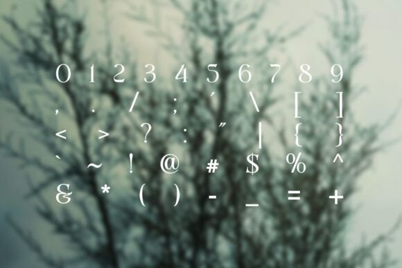 Shington Font PNG with transparent background - Preview 3