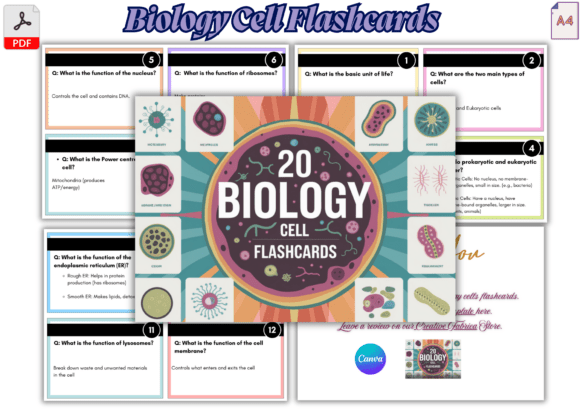 Biology Cell Flashcards Graphics