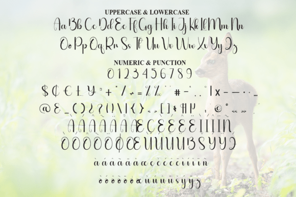 Animals Font - Preview 6
