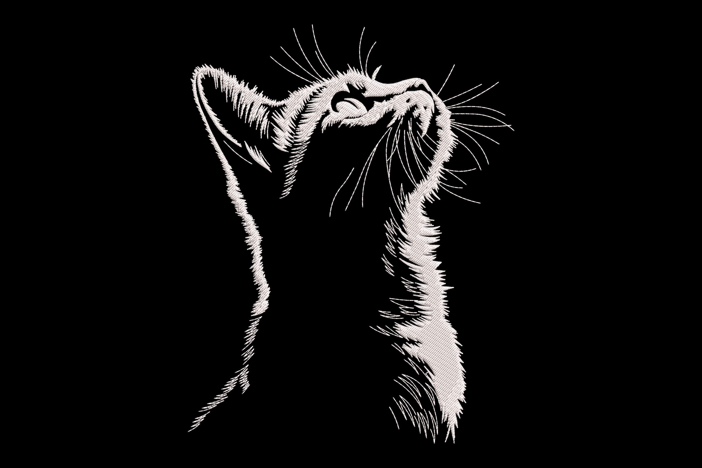 Black Cat Face