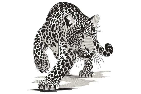 Black and Grey Leopard