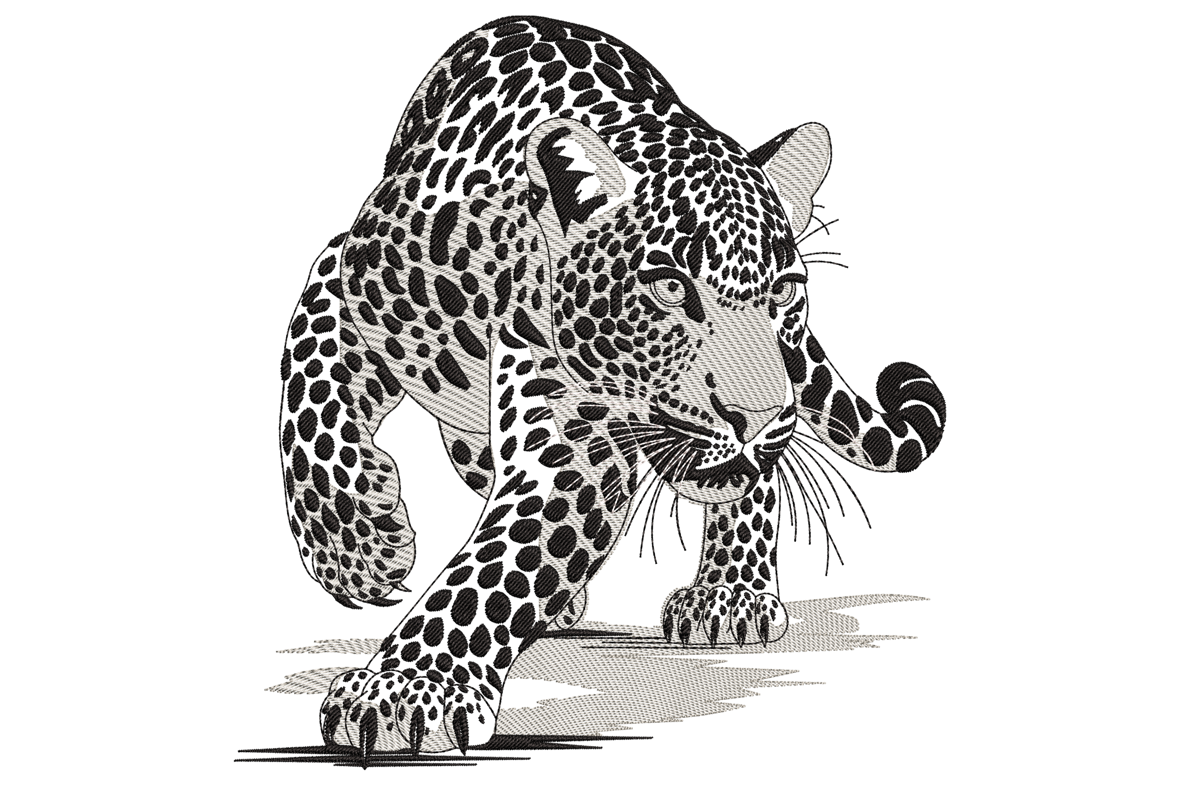 Black and Grey Leopard