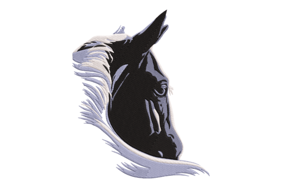 Black and White Horse Head