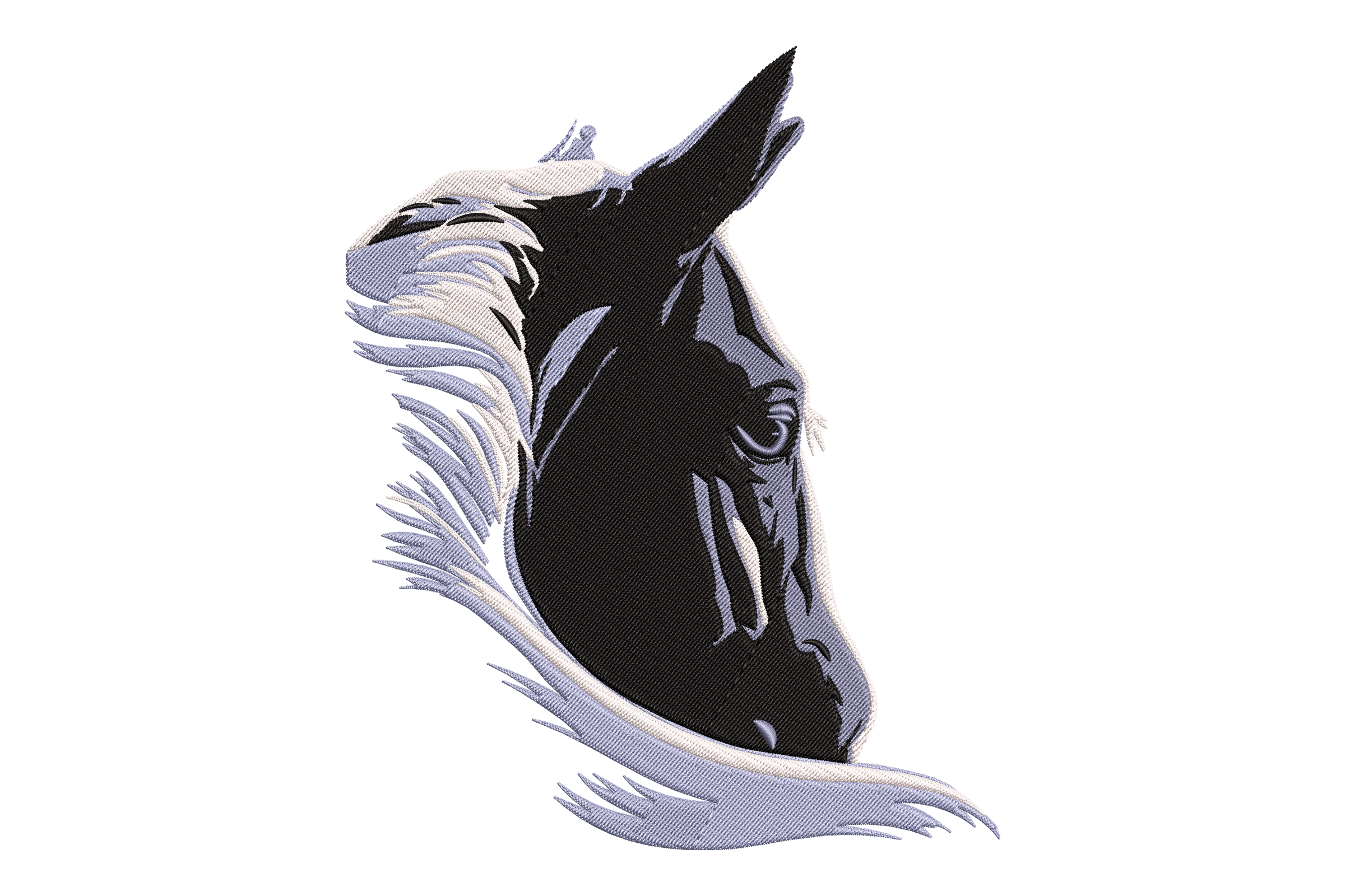 Black and White Horse Head