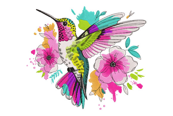 Colorful Hummingbird Splash