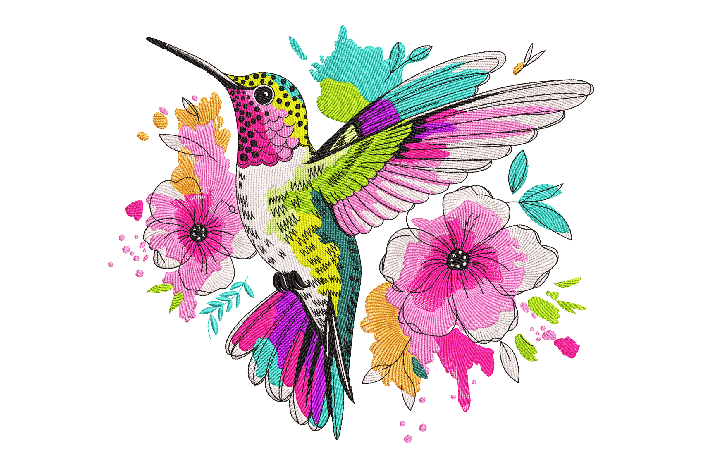 Colorful Hummingbird Splash