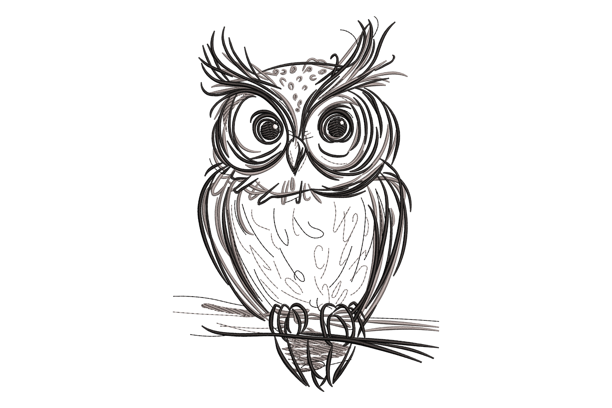 Cute Owl