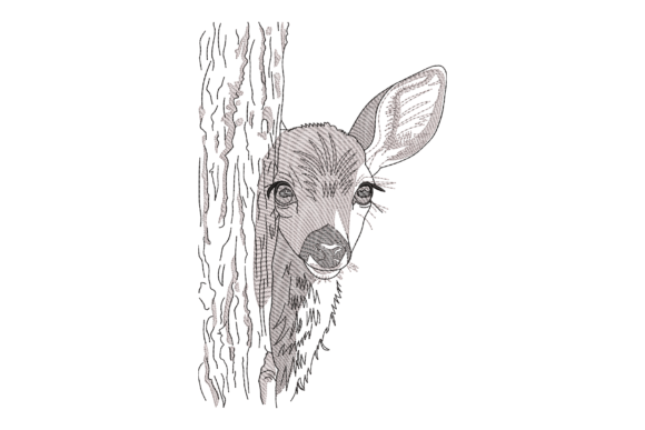 Deer Peeking